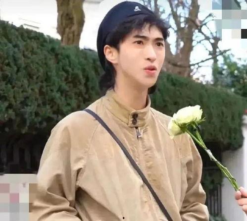 吃瓜娱乐演员表,揭秘明星阵容，带你走进娱乐圈风云变幻  第3张